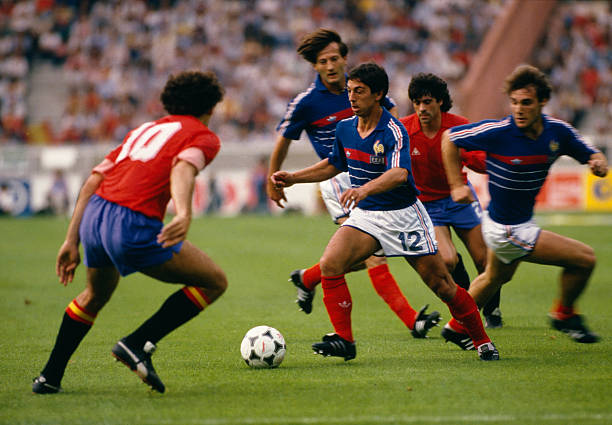 露周琦与利 露周琦与利